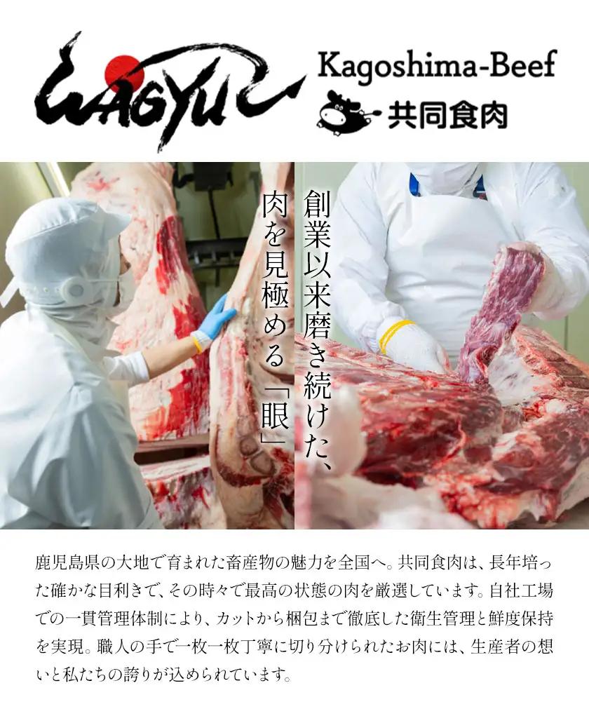 家族で楽しむ さつま福永牛 上カルビ 焼肉用 1kg 《30日以内に出荷予定(土日祝除く)》