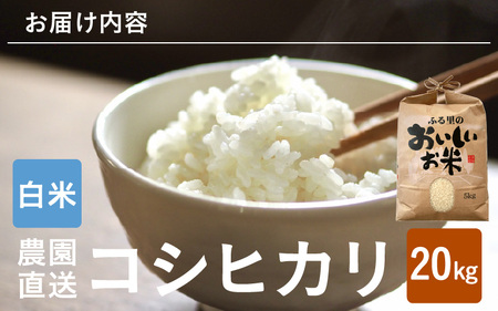 【先行予約】【令和8年産・新米】【白米10kg×2袋】福井県産 コシヒカリ20kg 【2026年10月上旬以降順次発送】 [D-8915_01]