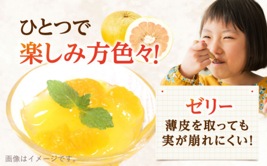 ぷりぷりで爽やかな香り！ 紅まどか 4個入り【おおたに農園】 [OBP001]