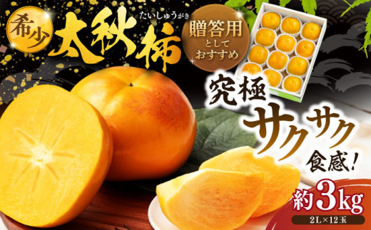【先行予約】【10月上旬から順次発送】太秋柿 約3kg 化粧箱入（2Lサイズ 12玉入り）期間限定 数量限定 フルーツ 柿 かき カキ 果物 太秋柿 愛媛県大洲市/愛媛たいき農業協同組合[AGAO004]