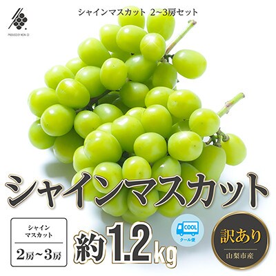 【先行受付2026年発送】 シャインマスカット 2～3房(計約1.2kg)【訳あり】【配送不可地域：離島・沖縄県】