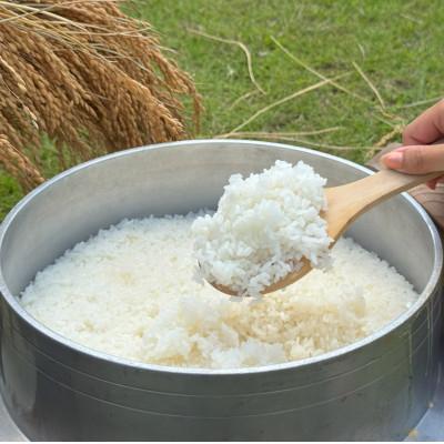 ふるさと納税 多古町 多古米セレクション　高石健太郎さんの多古米コシヒカリ　精米10kg　令和7年産 |  | 03