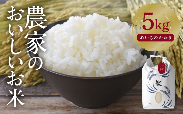 お米 精米 白米 ご飯 ごはん 特別栽培米 愛知県産 米 5kg 5キロ 愛西市