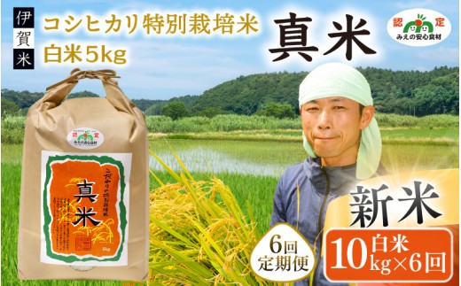
                  伊賀米コシヒカリ 令和8年産 特別栽培米「真米」白米10kg×6回お届け定期便【ymnk-tkb0004】
                
