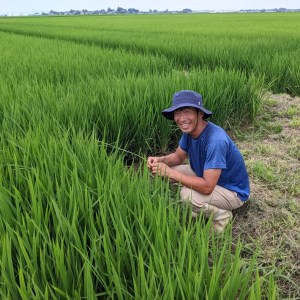 【新米受付 10月発送】R7年産 渡會さんのうまい米！はえぬき5kg（入金期限：2025.9.15）