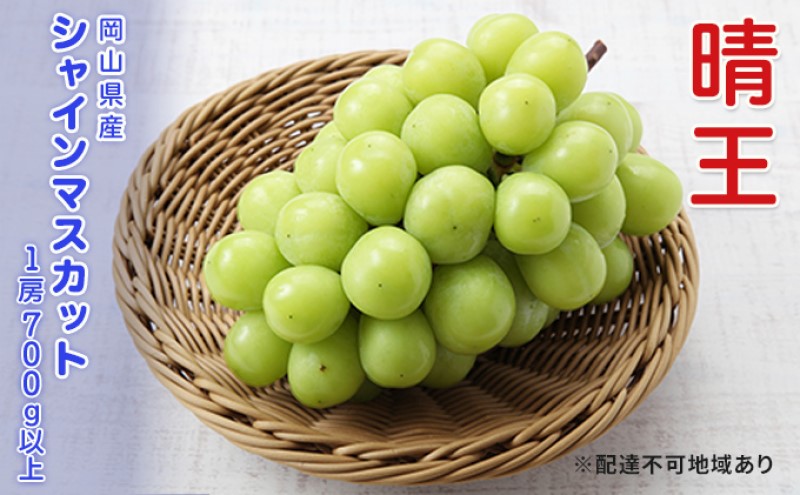 ぶどう  2026年 先行予約 シャインマスカット 晴王 1房 700g以上  ブドウ 葡萄  岡山県産 国産 フルーツ 果物 ギフト