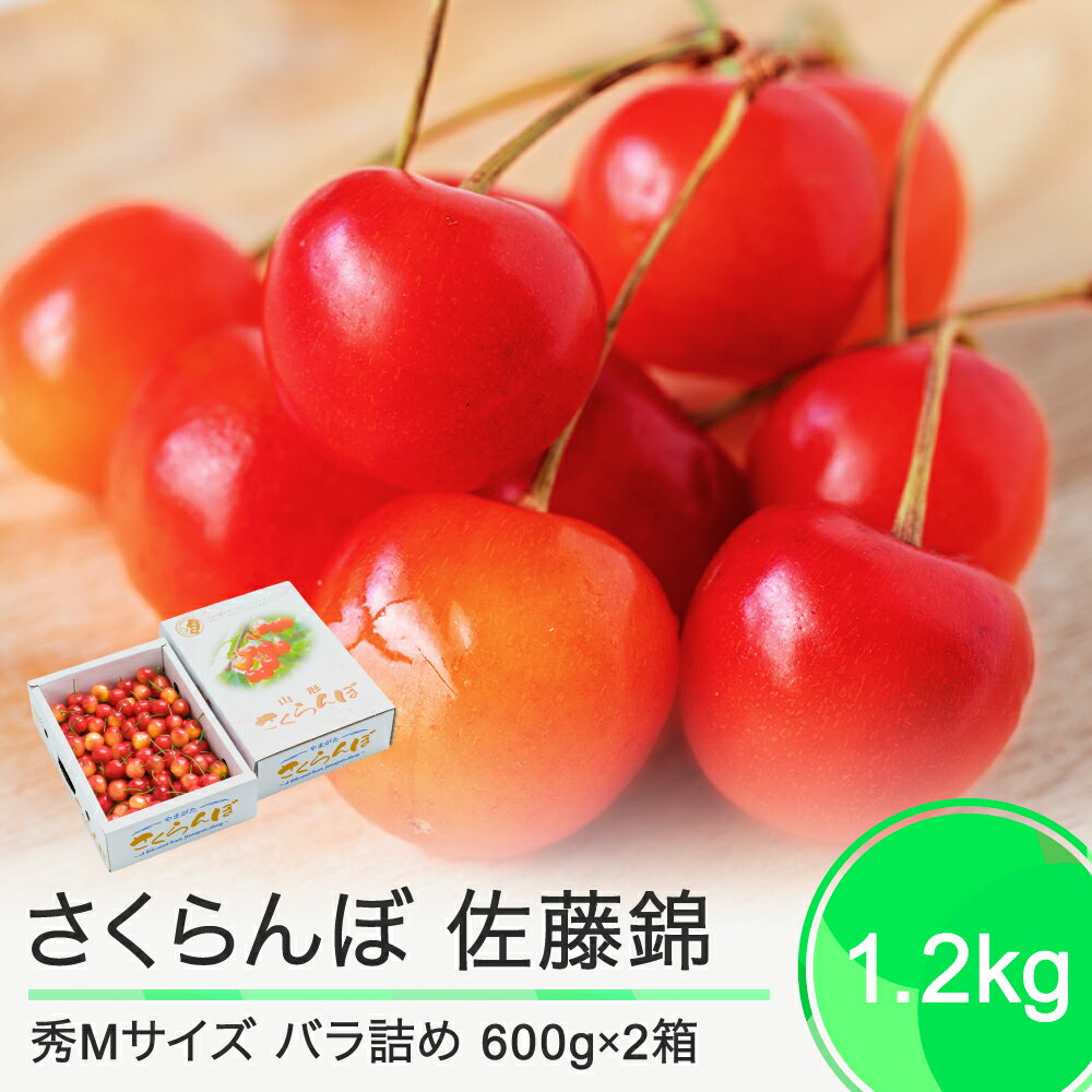【ふるさと納税】 さくらんぼ 佐藤錦 6月中旬〜下旬発送 秀Mサイズ バラ詰め 1.2kg(600g×2箱) 2025年産 山形県産 送料無料 サクランボ