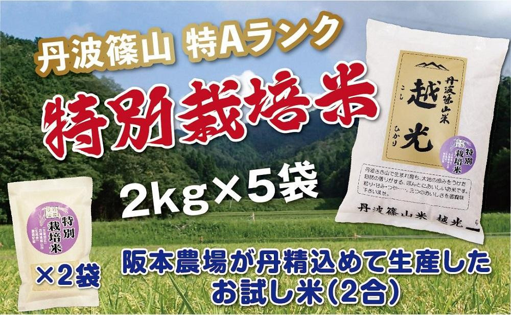 
            令和６年産　丹波篠山産　特Aランク　特別栽培米　越光（２ｋｇ×５袋）
          