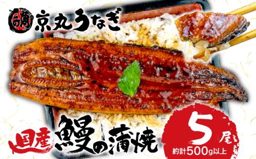 【 7月31日 土用 丑の日 対応 】国産 うなぎ 蒲焼 5尾 約500g 鰻 肝 佃煮 ギフトボックス セット 老舗 専門店 うなぎ処京丸 静岡 