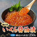 【ふるさと納税】網走から直送！＜網走産＞いくら醤油漬 250g【 ふるさと納税 人気 おすすめ ランキング いくら いくら醤油漬 醤油漬け 醤油漬 イクラ 鮭イクラ 鮭いくら サケ 鮭 網走産 魚卵 魚介 いくら丼 イクラ丼 新鮮 オホーツク 北海道 網走市 送料無料 】 ABB008