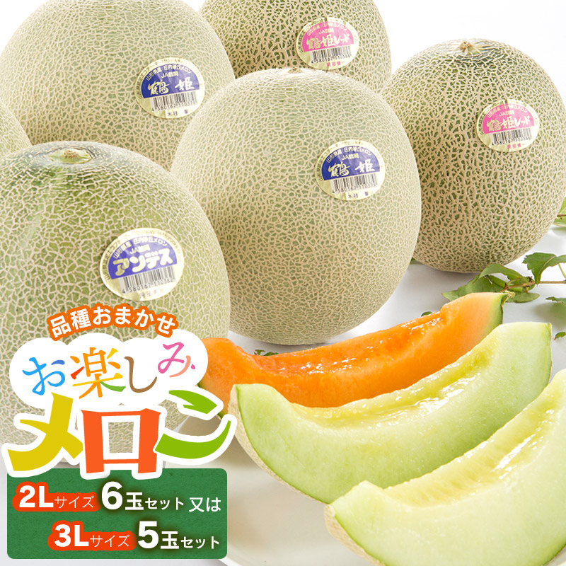 【令和8年産先行予約】お楽しみメロン 3L5玉セット または 2L6玉セット 山形県 庄内産 砂丘メロン 食べ比べ K-860　JA鶴岡