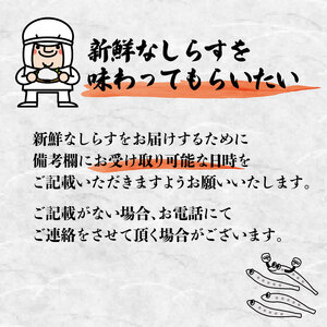 しらす 味が自慢の駿河湾産しらす屋のおすすめ しょうゆ しらす 干し 釜揚げ 料理 丼 チャーハン パスタ うどん ごはん おかず おすすめ 新鮮 海 海鮮 静岡県 牧之原市 ヤマカ藤田商店