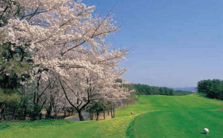 ゴルフ 平日利用券 30,000円分 多治見市/多治見カントリークラブ チケット ゴルフ場[TCC006]