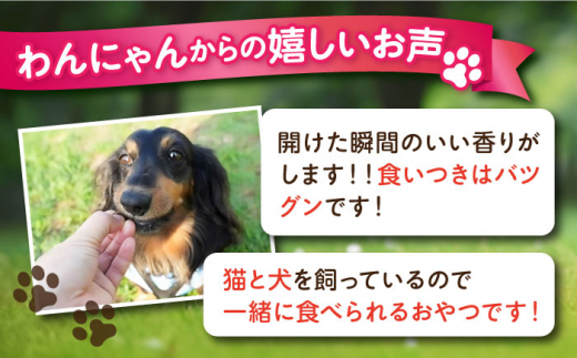 【全12回定期便】犬猫おやつ 三崎マグロジャーキー（80g×2袋） ペット 犬 猫 手作り 国産 てづくり こだわり ドッグフード  横須賀 【ペットフードYM japan】 [AKEX017]