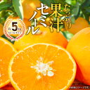 【ふるさと納税】【限定】 【2025年先行受付】産地厳選 セミノール 約5kg(M～3Lサイズ)【紀州グルメ市場】【ミカン 蜜柑 春みかん 柑橘 オレンジ】