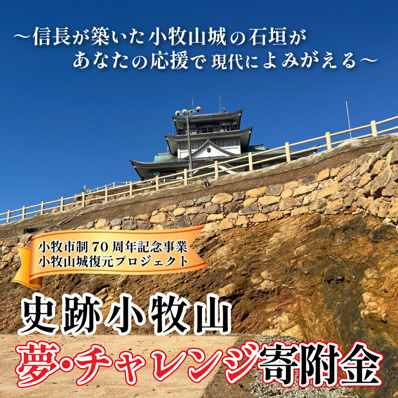 【ふるさと納税】【返礼品なし】信長が築いた小牧山城の石垣があなたの応援で現代によみがえる　史跡小牧山　夢・チャレンジ寄附金