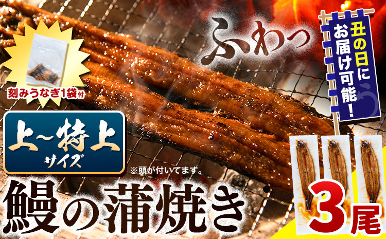 
                  【 土用の丑の日予約受付中！ 】 うなぎ 国産 鰻の蒲焼 3尾 + きざみうなぎ 30g×1袋 上～特上サイズ 《7/20-7/25発送》| うなぎ 蒲焼 国産 うなぎ 小分け うなぎ 国産 うなぎ 土用の丑の日 うなぎ 簡易包装 送料無料 徳島県 上板町
                