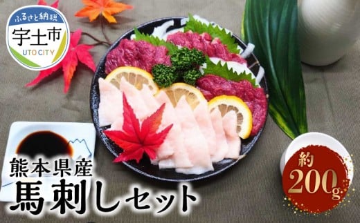 118-5 熊本県産馬刺しセット約200ｇ（赤身100ｇ・コウネ100ｇ）　※タレ、生姜付