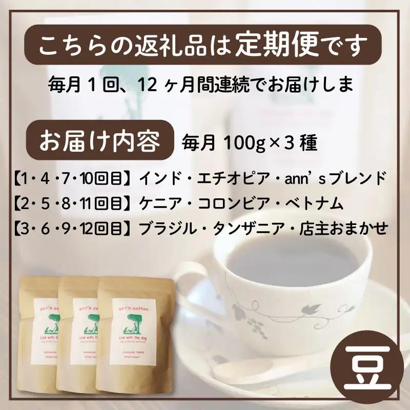 コーヒー豆 【定期便12か月】ann's cafe 100g×3種 コーヒー豆