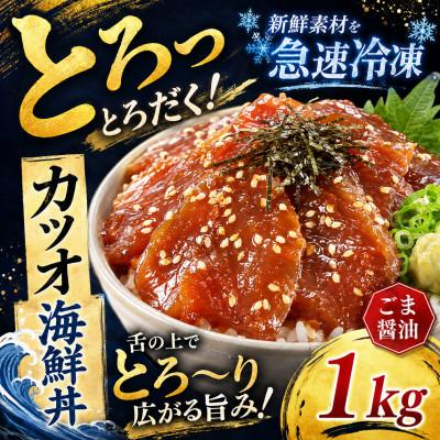 ふるさと納税 和水町 ごま醤油 海鮮丼 カツオ 約1kg(和水町)