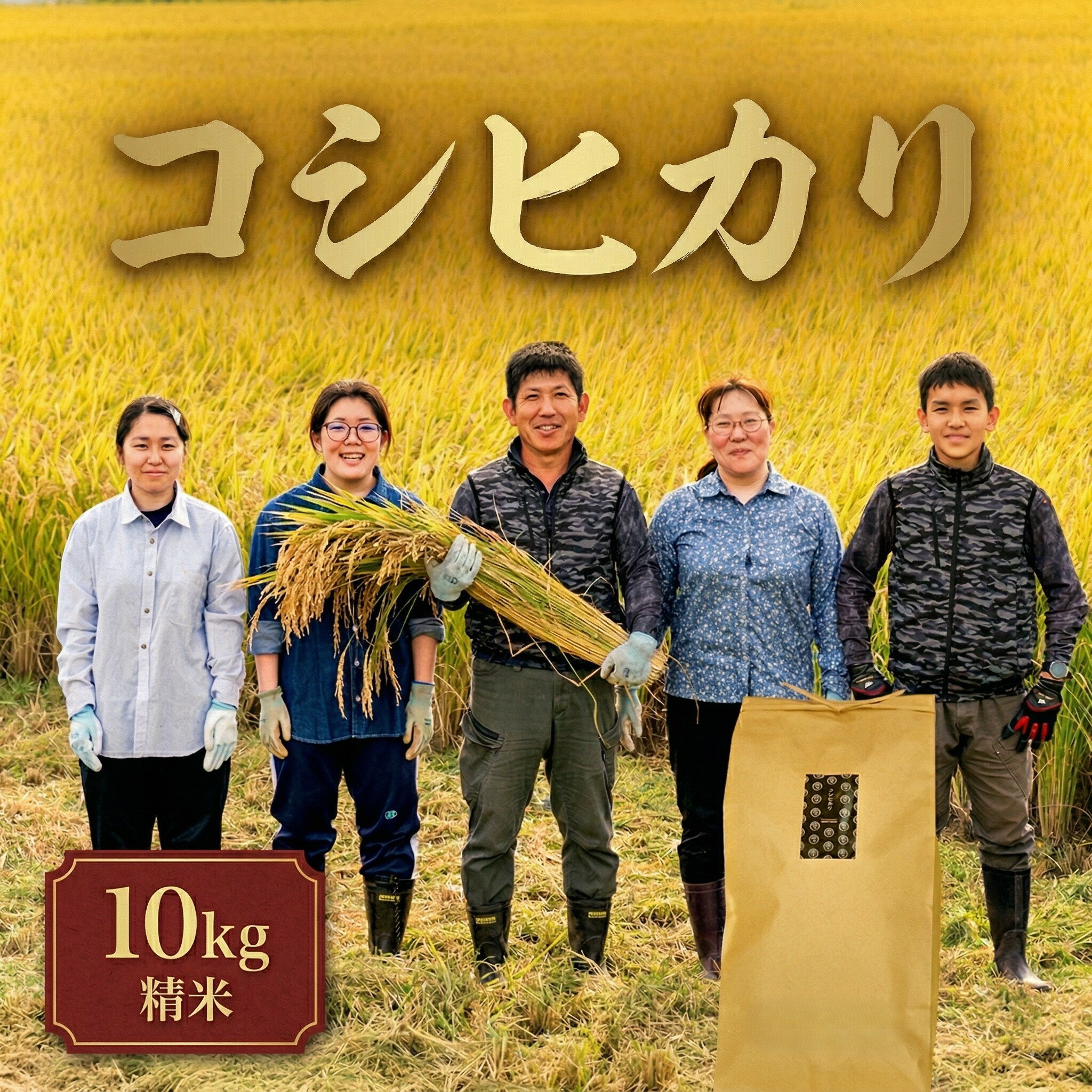 【ふるさと納税】【 選べる お届け回数 】コシヒカリ 精米 10kg