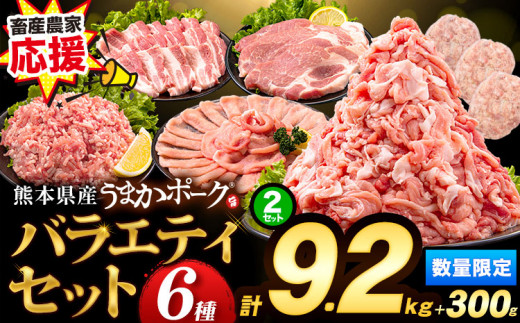 数量限定★生産者応援★ 豚肉 小分け バラエティ セット うまか ポーク 2セット しゃぶしゃぶ 切り落とし 豚ロース バラ 豚バラ 豚バラ肉 スライス 計 9.5kg 4.6kg × 2セット ＋ 300g 9kg 以上 真空 お楽しみセット 不揃い 数量限定 簡易包装 冷凍配送 《30日以内に出荷予定(土日祝除く)》※2セットは「種類」からお選びください※