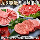 【ふるさと納税】A5等級黒毛和牛(シャトーブリアン・霜降り肩ロース焼肉用) E0-4【配送不可地域：離島】【1166300】