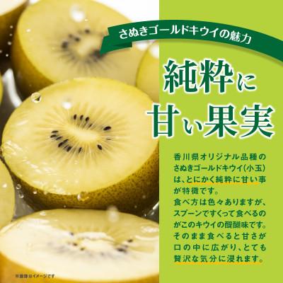 ふるさと納税 高松市 ご家庭用さぬきゴールドキウイ　約1kg |  | 02