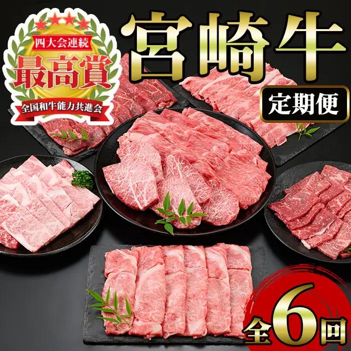 ＜定期便・6回(連続)＞宮崎牛・定期便A(6ヶ月)【MI002】【(株)ミヤチク宮崎加工センター】