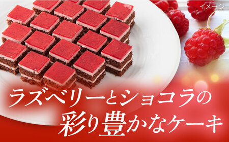 ラズベリーショコラケーキ 【ファミール製菓株式会社】[AKCI007]