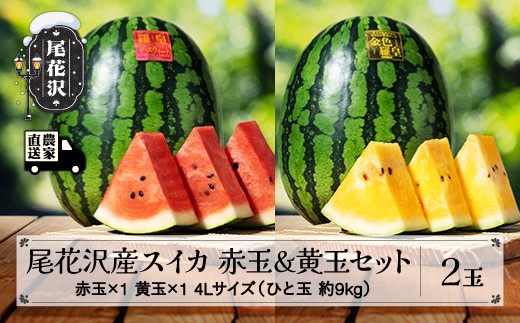 
                  先行予約 尾花沢産スイカ 赤玉×黄玉 各1玉セット 金色羅皇 こんじきらおう 羅皇ザ・スイート 4Lサイズ 約9kg×計2玉 7月下旬～8月中旬頃発送 令和9年産 2027年産 尾花沢産 スイカ すいか 西瓜 果物 くだもの フルーツ 観光物産 kb-suks42
                