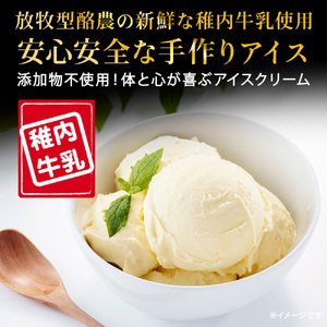 【業務用】稚内牛乳アイスクリーム2000ml宗谷の塩×コーヒー牛乳2個セット【配送不可地域：離島】【1327643】