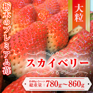【先行予約】栃木県産いちご スカイベリー 約390g～430g×2パック アフター対応あり いちご