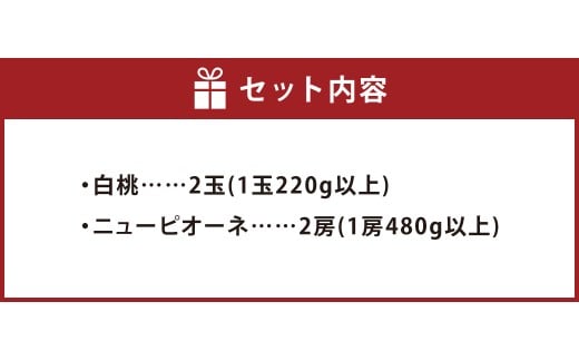 【先行予約】岡山県産 詰合せ/白桃2玉とニューピオーネ2房 化粧箱入り【2026年7月下旬～8月上旬まで順次発送予定】【もも 桃 白桃 ぶどう ニューピオーネ 果物 フルーツ 国産 人気 おすすめ 岡