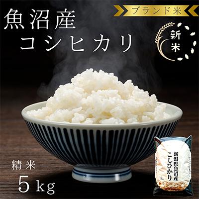 ふるさと納税 魚沼市 「令和8年産　新米先行受付」ブランド米 魚沼産コシヒカリ5kg 精米