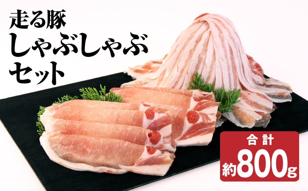 走る豚 しゃぶしゃぶセット 計800g（200g×2）×2種 ロース バラ 豚肉