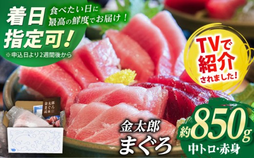 【数量限定！】【メディアで多数紹介！】金太郎 マグロ 冷凍 ブロック 中トロ 赤身 約850g【徳丸】 [RAC010]