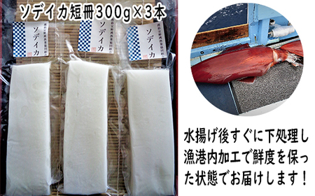 【沖縄県産 巨大イカ】ソデイカ短冊