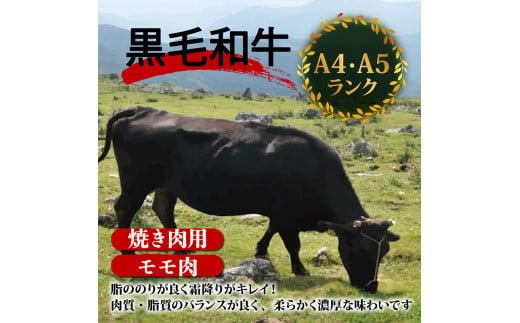 【定期4回】土佐黒毛和牛モモ肉焼肉用 計3.2kg【800g×4ヶ月連続お届け】
