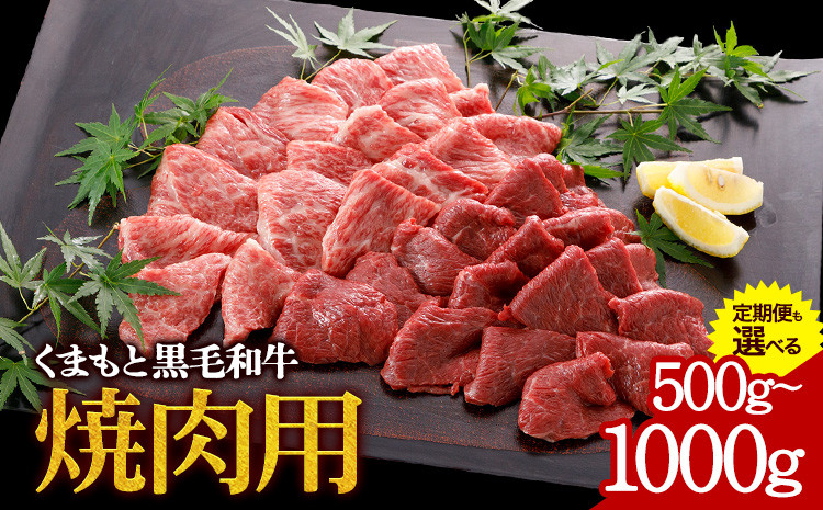 
牛肉 くまもと黒毛和牛 焼肉用 500g 定期便 2回 5回 1000g 株式会社KAM Brewing《選べる出荷時期》
