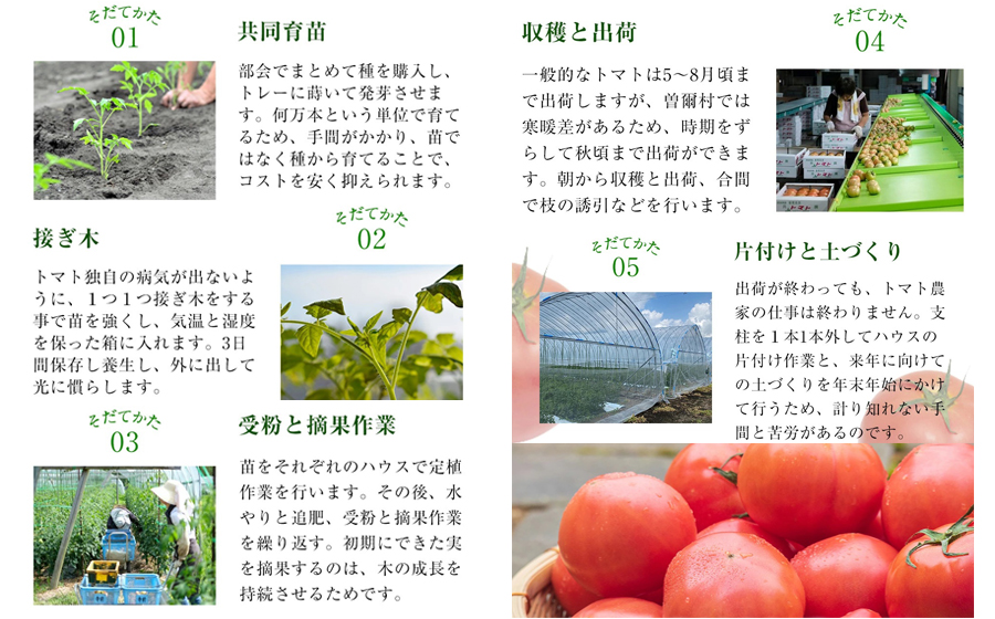 曽爾村特産高原トマト約2kg※電話での調整後順次発送（北海道・沖縄県への送付不可）