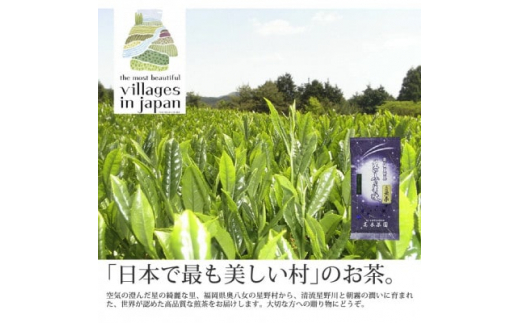 
奥八女星野村 深蒸し高級煎茶(深蒸し茶)100g×1袋【1463197】
