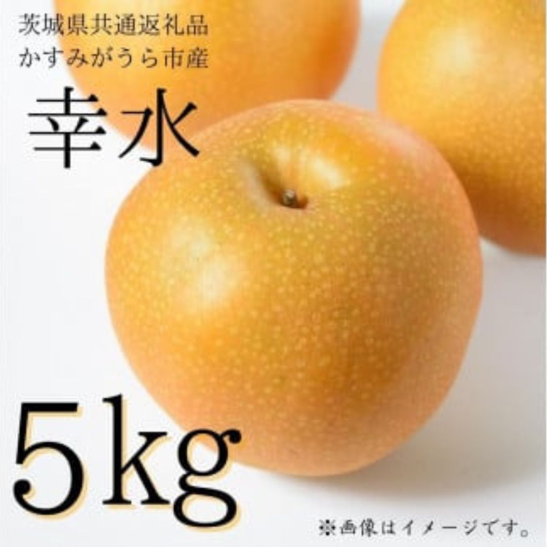 【ふるさと納税】《2026年先行予約》 梨 幸水 5kg （茨城県共通返礼品・かすみがうら市産） ／ 梨 なし 果物 フルーツ 先行予約 幸水 5kg