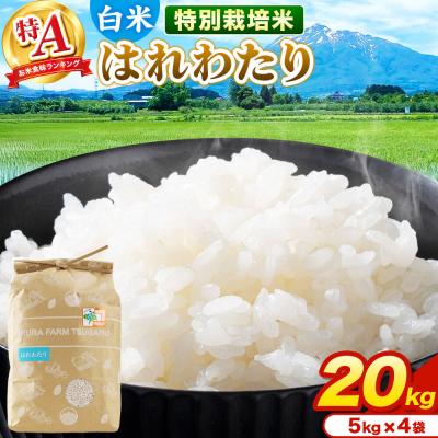 ふるさと納税 弘前市 米【特別栽培米】はれわたり 白米 20kg(5kg×4袋)R7年産 特A|24_mft-032001
