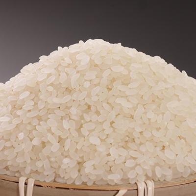 ふるさと納税 大潟村 【精米】あきたこまち有機米5kg |  | 02