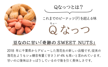 【先行予約／2024年11月発送】落花生・Ｑなっつのやわらか甘納豆（110ｇ）2個セット／ふるさと納税 甘納豆 豆 甘い 落花生 千葉県 山武市 SMAH001 甘納豆 豆 甘い 落花生 ピーナッツ 