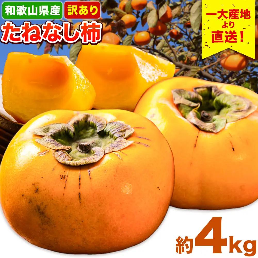 柿 訳あり たねなし柿 約4kg 