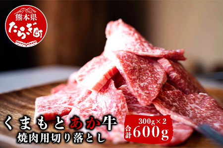 【あか牛】 くまもとあか牛 焼肉用 切り落とし 300g×2パック ＜計600g＞ 【 くまもとあか牛 あか牛切り落とし あか牛切落し 赤牛切り落とし 和牛切り落とし 褐毛和種 柔らかい 和牛 切落し 美味しいあか牛 熊本県あか牛 冷凍あか牛 熊本県産 GI認証取得  和牛 焼肉 ヘルシー お肉 肉 牛肉 和牛 あか牛 高品質 BBQ バーベキュー 冷凍 】 079-0528