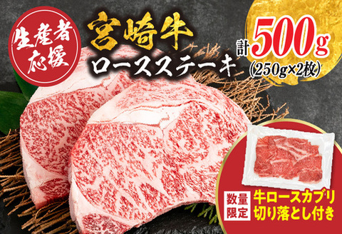 生産者応援 宮崎牛 ロースステーキ 2枚(計500g)牛カブリ 切り落とし サーロイン リブロース 牛肉 黒毛和牛 国産 焼肉 BBQ おかず 人気 ギフト 贈り物 宮崎県 日南市 送料無料_C119-24-ZO