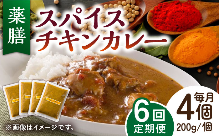 
【6回定期便】薬膳スパイスチキンカレー 4食（200g×4） /自然庵 [UCQ005] カレー レトルトカレー 鶏肉 鶏 チキン
